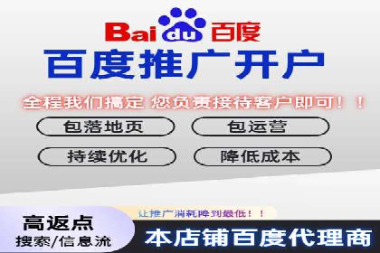 SEM运营中的数据分析和优化案例研究